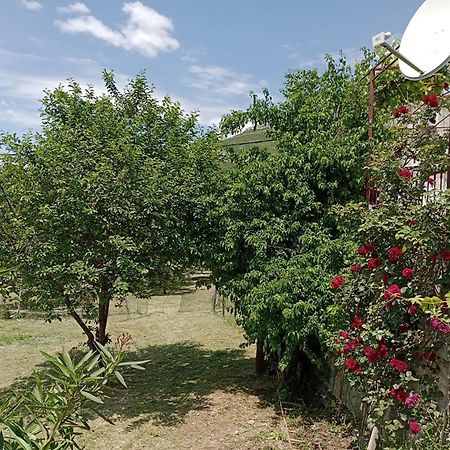 Apartment Natali Kaštel Stari 외부 사진